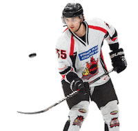 Ice Hockey Sticker by Cardiff Fire