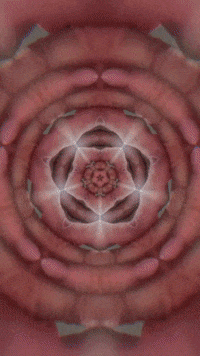 Art Morph GIF by Aleksey Efremov