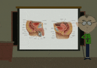 hitting mr. mackey GIF by South Park 