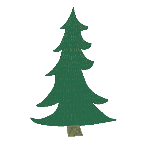chasingafterdear christmas holidays christmas tree pine tree Sticker