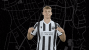 Svs1916 GIF by SV Sandhausen