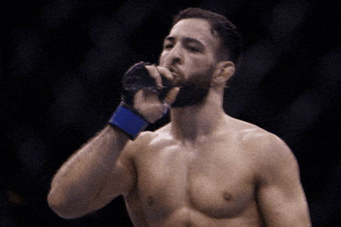 Fight Ufc GIF by promaslist