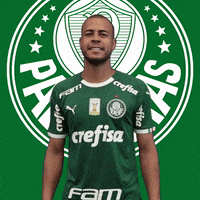 Palmeiras happy soccer celebrate feliz GIF
