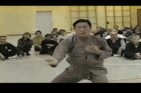 kame GIF