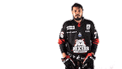 Ice Hockey Goal Sticker by Boxers de Bordeaux