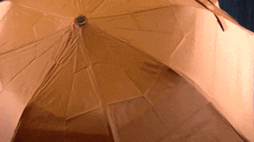 womens golf GIF by LPGA