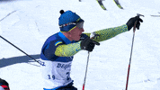Paralympic Games GIF by International Paralympic Committee
