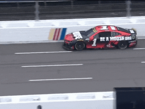 Ross Chastain Nascar GIF