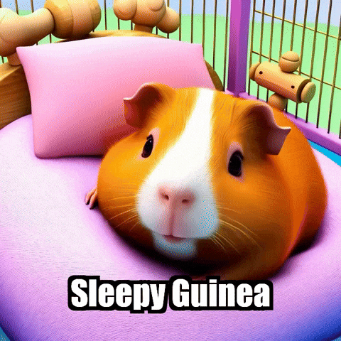 Guinea Pig GIF by Guinea Gambino