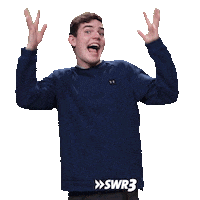 Oh Yeah Omg Sticker by SWR3