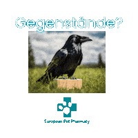 Epp Bsp Sticker by Europeanpetpharmacy