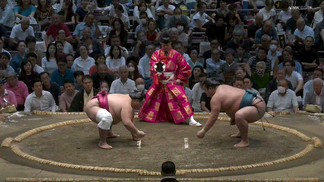 TZ85 giphyupload sumo 2023 aki basho onosho GIF