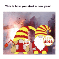 Chinese New Year Gnome GIF