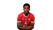 Switzerland U21 Sticker by Swiss Football Association