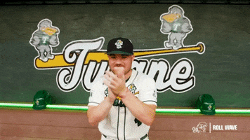 College Baseball Lambert GIF by GreenWave
