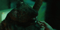 KaihoRepublic kaiho ahma kaihorepublic poromafia GIF