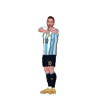 World Cup Football Sticker by Panini America