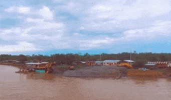 julianvivas giphygifmaker GIF