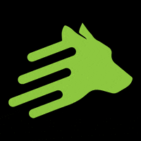 leaddogdigital  GIF