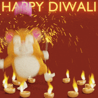 Festival Of Lights Hamster GIF by Grind
