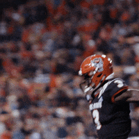 Nc State Wolfpack GIF by NC State Athletics