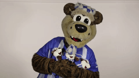 Hertha Berlin Sport GIF by Hertha BSC