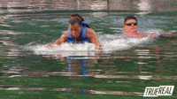 Dolphin Ride