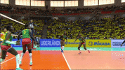 Awesome Action GIF by Volleyball World