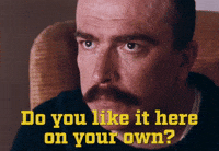 Do You Like it Here?