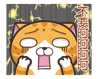 cat no GIF by MochiDad