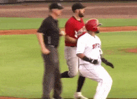 LouisvilleBats louisville bats juan milb GIF