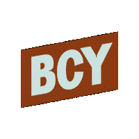 Bcy Sticker by Brick City Yoga