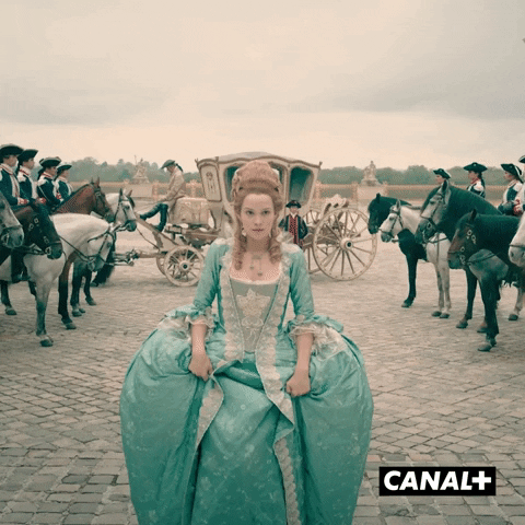 France Queen GIF by CANAL+