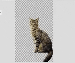 giphyupload GIF