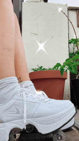 seasonsupply giphyupload GIF