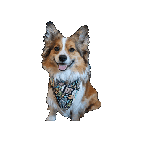 Star Wars Corgi Sticker by Geekster Pets