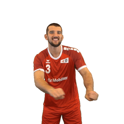 swisshandball_official handball schweiz swiss meister Sticker