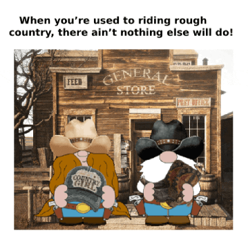 Wild West Cowboy GIF