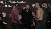 mma GIF by Bellator