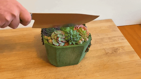 Eye Candy Cake GIF by The Roku Channel