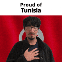 Tunisia Tn GIF