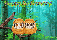 Owls Expressions GIF