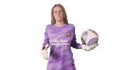 Sport Team Sticker by National Women's Soccer League