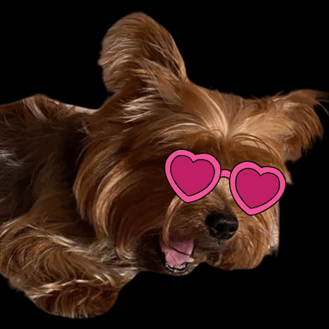 GIF by nutricionenbalance