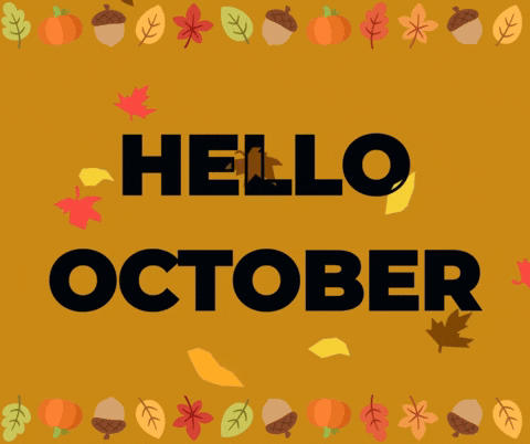 ShellBuckeyeGal giphyupload GIF