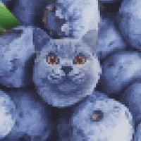 Kinda Homeless GIF