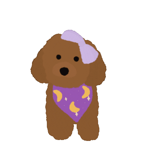 Toy Poodle Wink Sticker