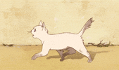 the cat returns neko no ongaeshi GIF by Maudit