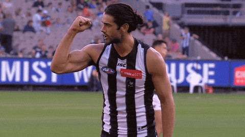 football love GIF by CollingwoodFC