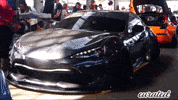 Camber Stancenation GIF by Curated Stance Club!